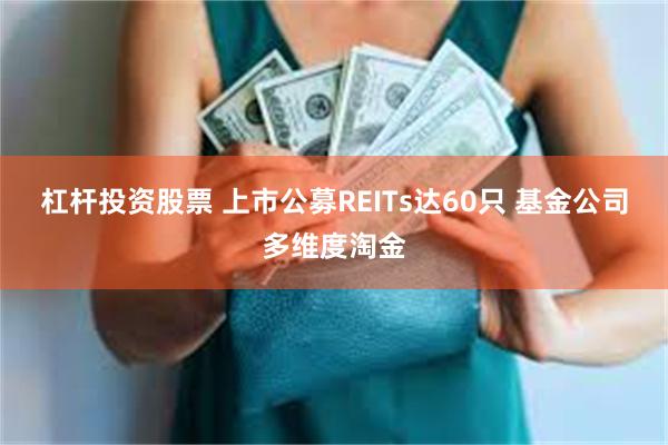 杠杆投资股票 上市公募REITs达60只 基金公司多维度淘金