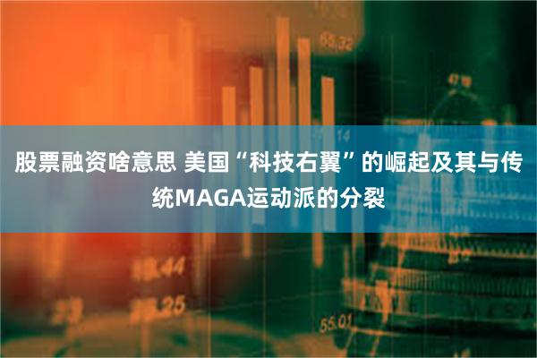 股票融资啥意思 美国“科技右翼”的崛起及其与传统MAGA运动派的分裂