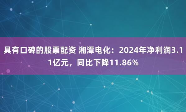 具有口碑的股票配资 湘潭电化：2024年净利润3.11亿元，同比下降11.86%